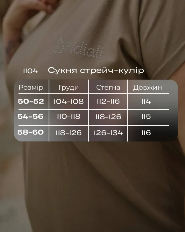 н_НФ-00000966_photo_2026-06-15_12-15-35-8.webp